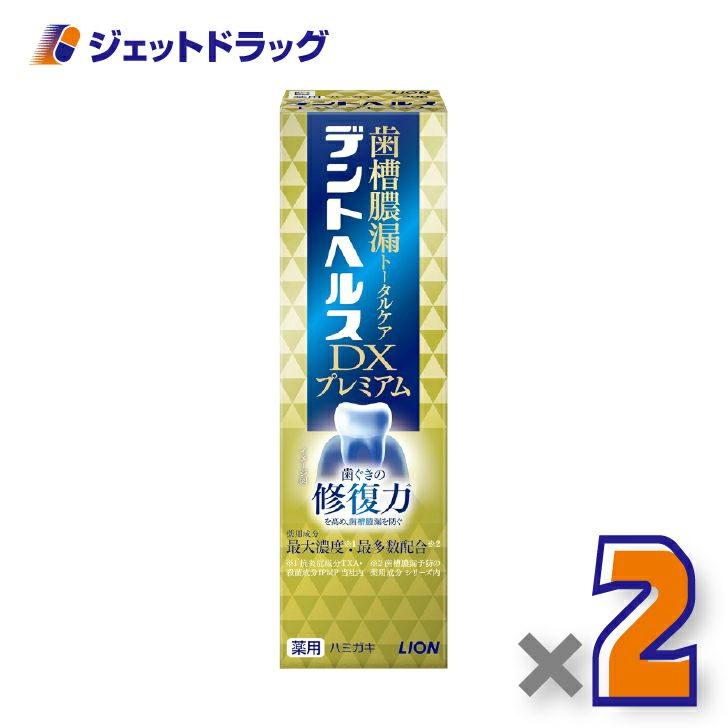 【医薬部外品】デントヘルス薬用ハミガキDXプレミアム90g×2個〔歯槽膿漏・歯肉炎〕