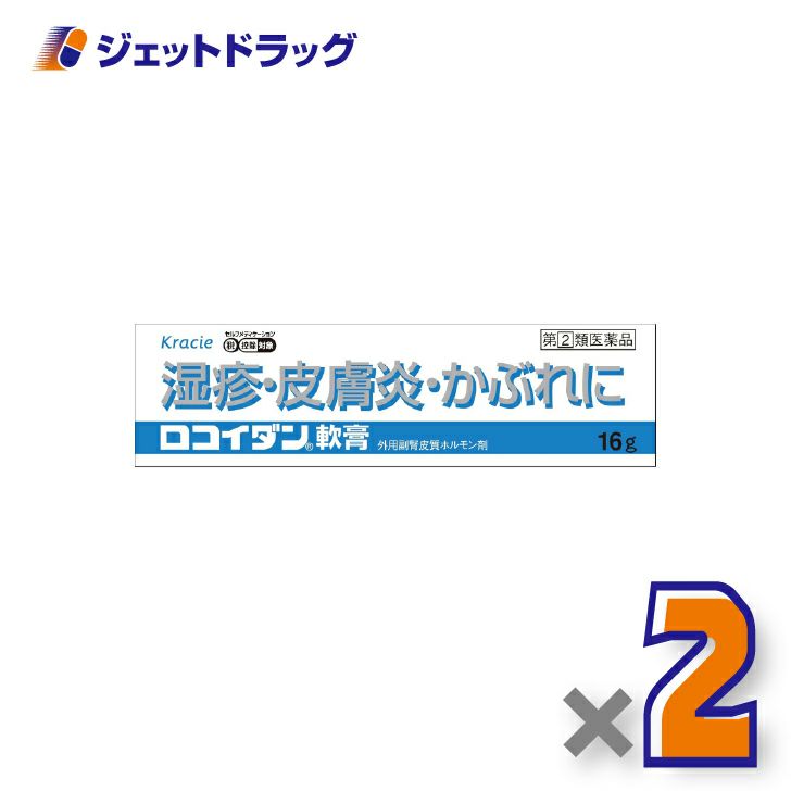 【第(2)類医薬品】ロコイダン軟膏16g×2個※セルフメディケーション税制対象〔湿疹・皮膚炎〕
