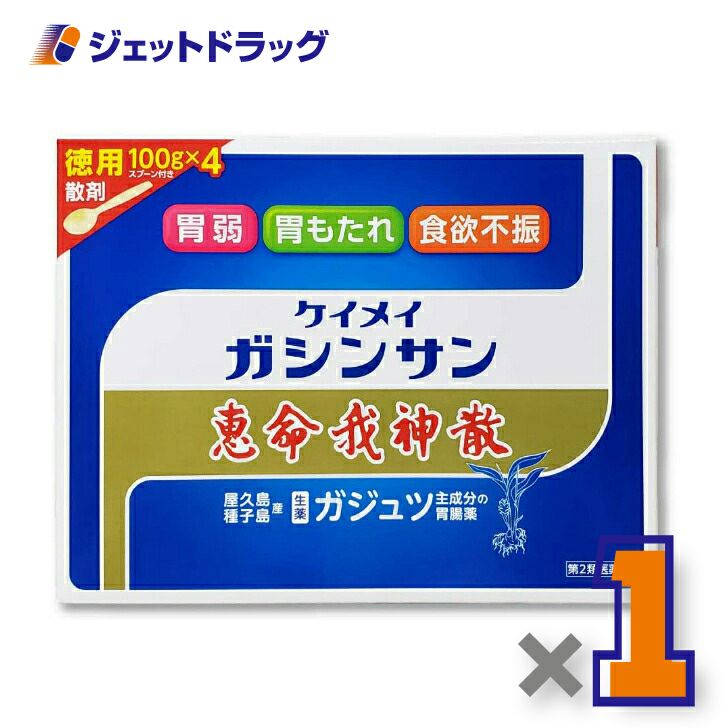 【第2類医薬品】恵命我神散100g×4