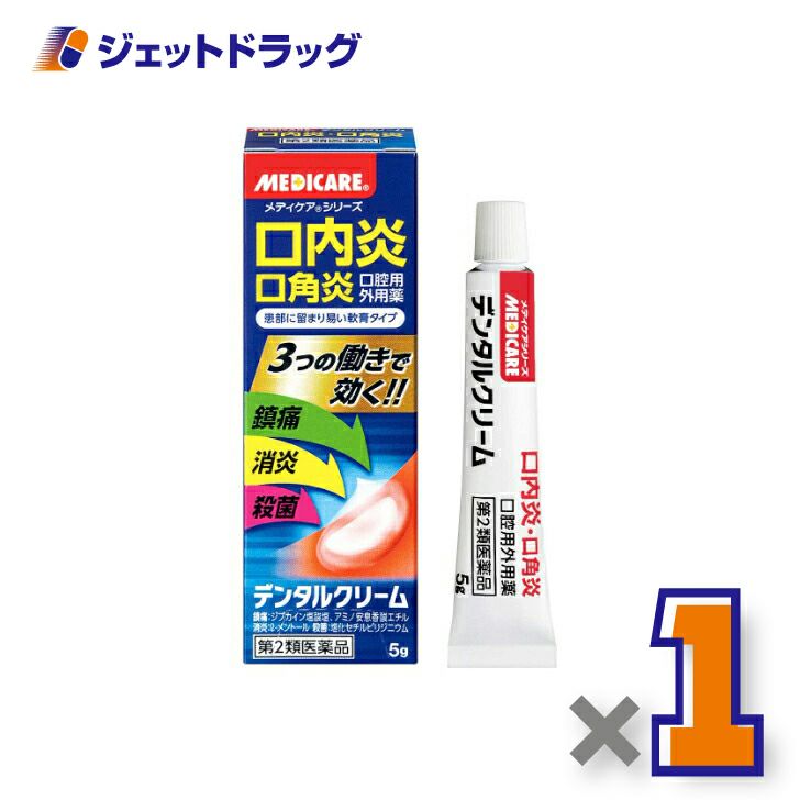 【第2類医薬品】デンタルクリーム5g
