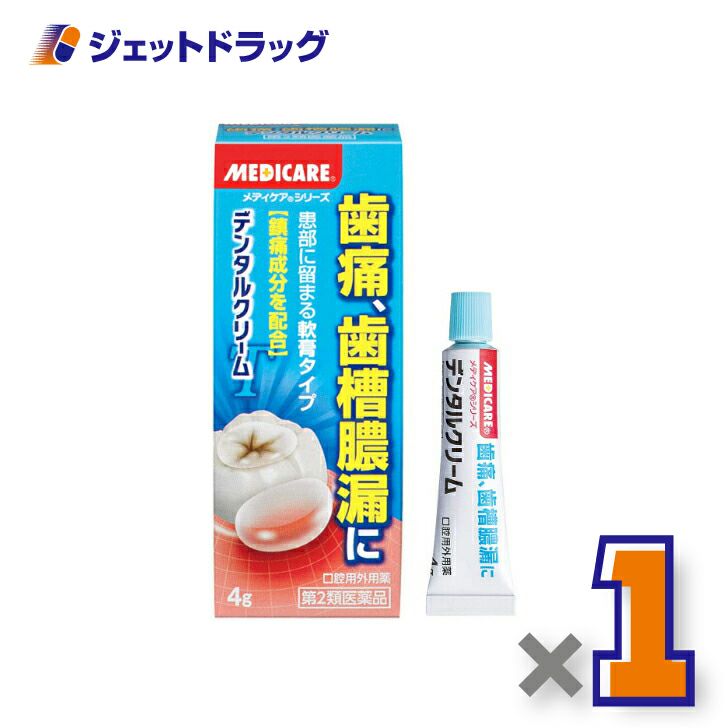 【第2類医薬品】メディケアデンタルクリームT4g