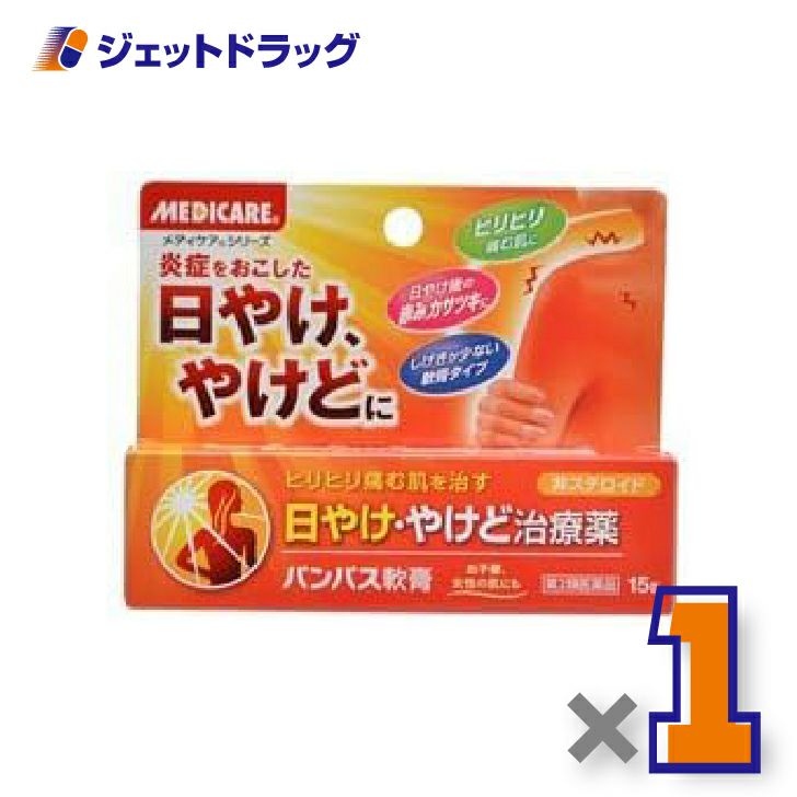 【第2類医薬品】パンパス軟膏15g×1個〔日やけ・やけど〕