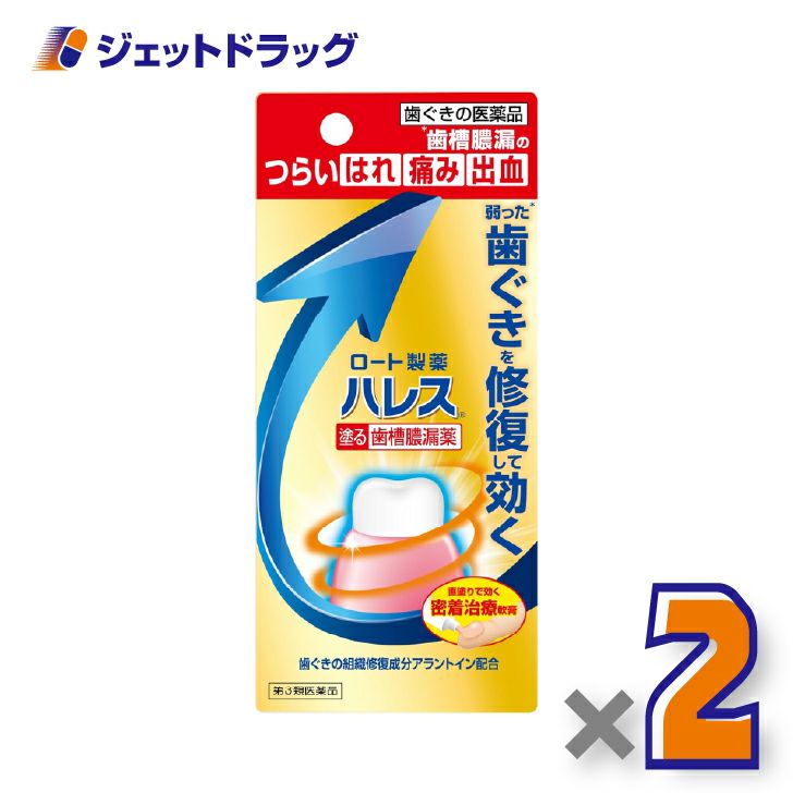 【第3類医薬品】ハレス口内薬15g×2個〔歯槽膿漏・歯肉炎〕