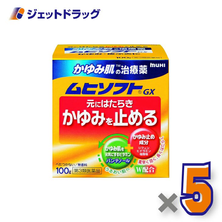 【第3類医薬品】かゆみ肌の治療薬ムヒソフトGX100g×5個※セルフメディケーション税制対象〔かゆみ肌の治療薬〕